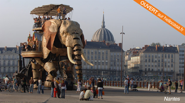 Hellocasa Nantes, petits travaux de bricolage