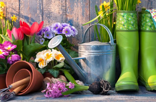 Calendrier du jardinage