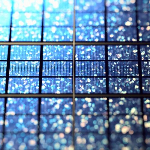 Panneau solaire bleu ou noir : quelle différence ?