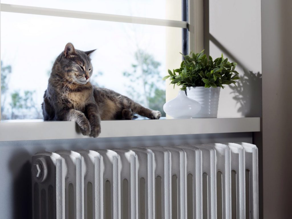chaut sur radiateur