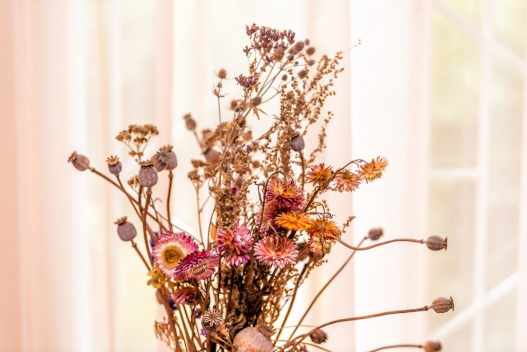 fleurs-sechees-deco-boheme