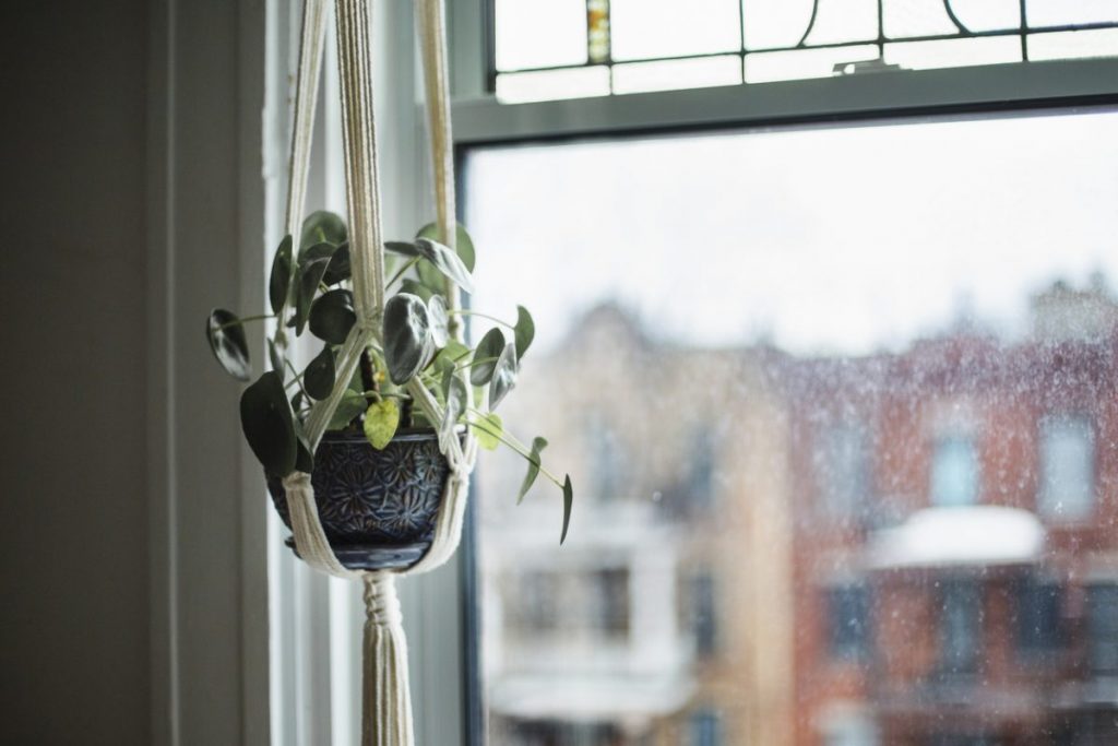plante-suspendue-deco-boheme