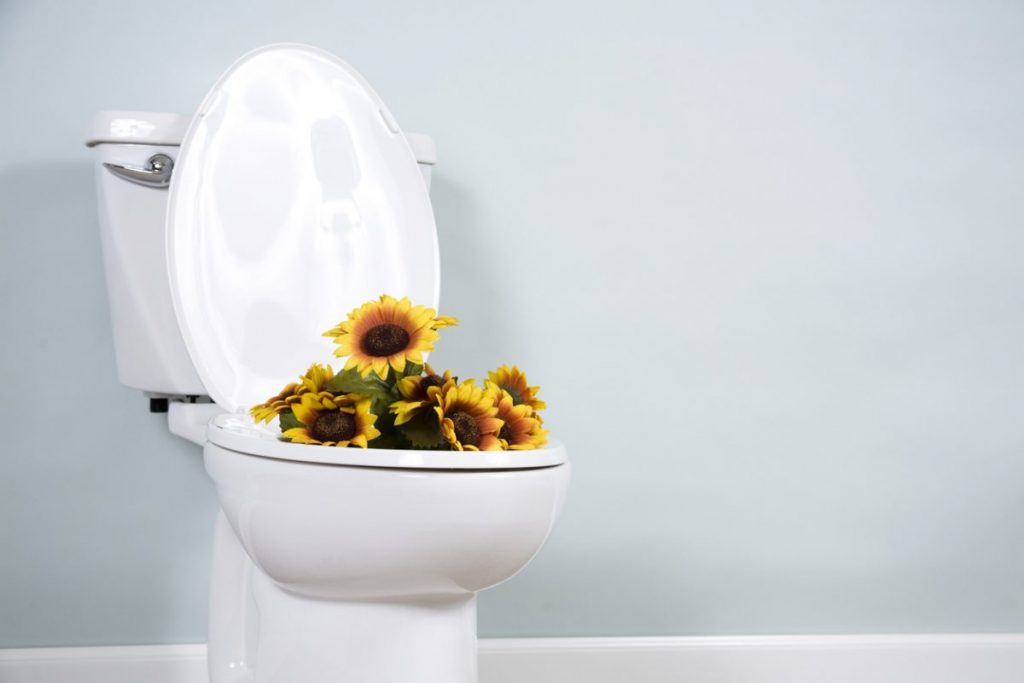 comment déboucher les wc