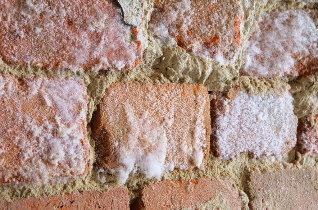 mur-humidité-salpetre