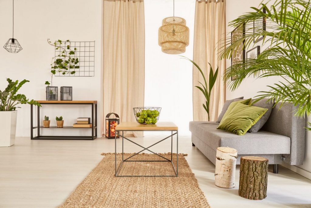 plates-vertes-decoration-interieure