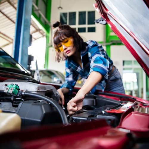 Moteur Essence, Diesel ou Electrique : Quelle motorisation choisir ?