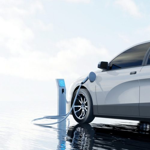 Chargeur Embarqué Mahle – Pour Pièces Détachées Ou Réparation (Ne Fonctionne Pas)