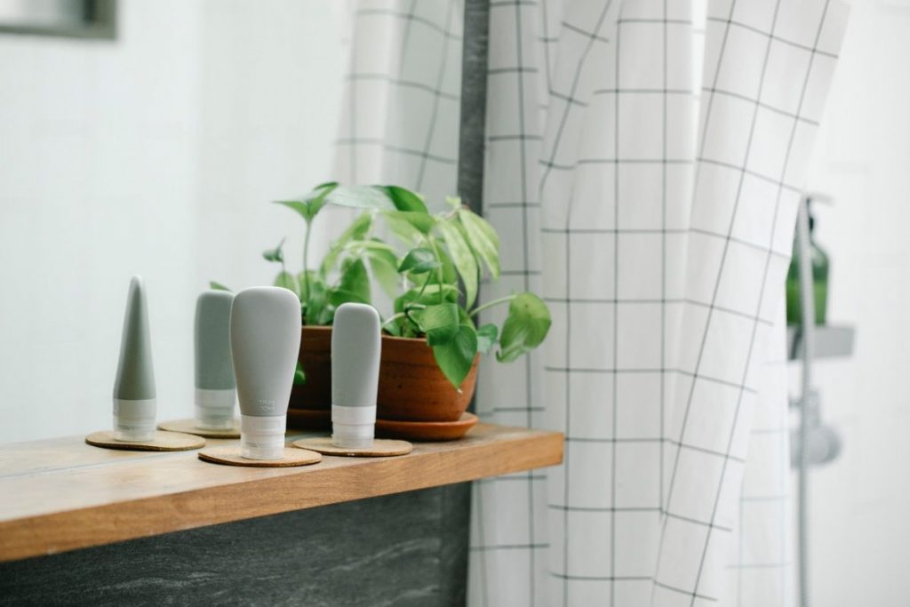plantes-salle-de-bain