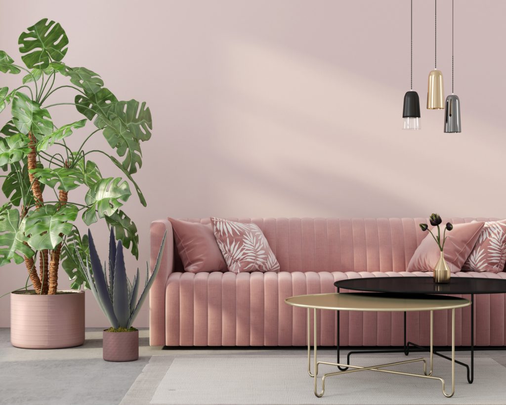 salon unicolore rose